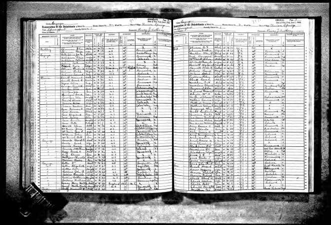 1925 Census
